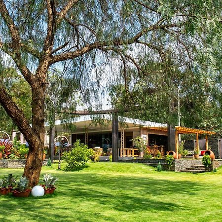 Kinga Homes Boutique Hotel Moshi Dış mekan fotoğraf